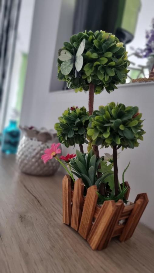 Apartament Daria Năvodari Kültér fotó